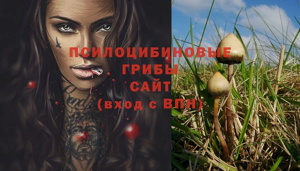 герыч Нязепетровск