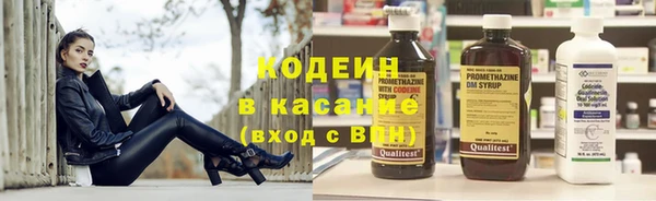 мяу мяу кристалл Няндома