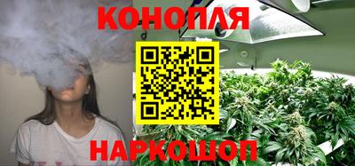 стаф Канаш