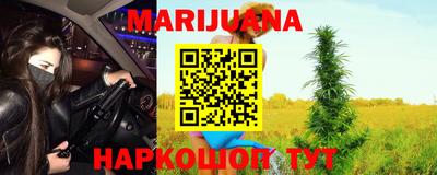 крисы Кандалакша