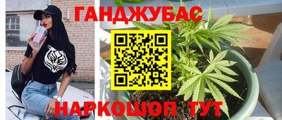 стаф Канаш