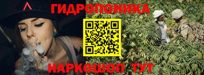 крисы Кандалакша