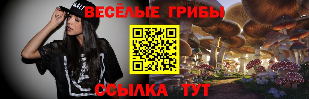 Псилоцибиновые грибы Psilocybine cubensis Скопин